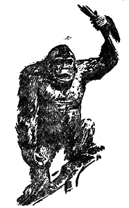 Всемирный следопыт 1929 № 05 i_035.png