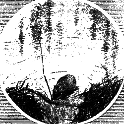 Всемирный следопыт 1929 № 05 i_045.png