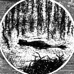 Всемирный следопыт 1929 № 05 i_046.png