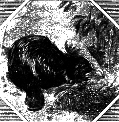 Всемирный следопыт 1929 № 05 i_048.png