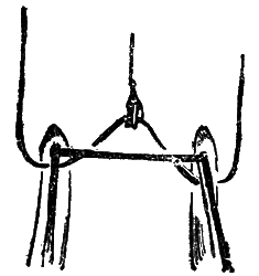 Всемирный следопыт 1929 № 05 i_017.png