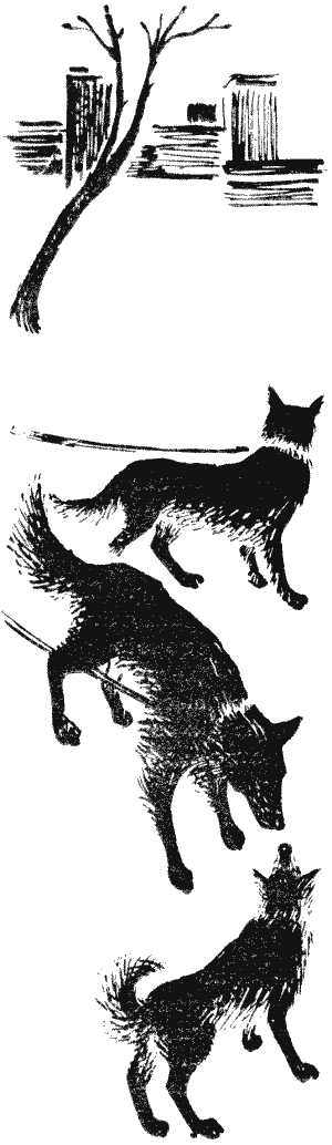 Твой друг. Сборник по собаководству. Выпуск 2 i_008.png
