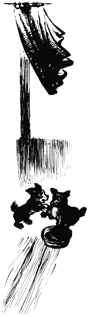 Твой друг. Сборник по собаководству. Выпуск 2 i_012.png