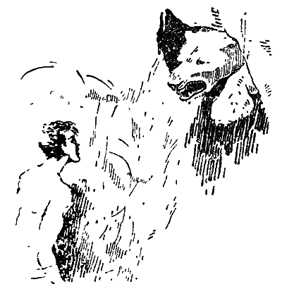 Всемирный следопыт 1929 № 04 i_021.png