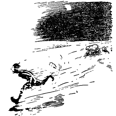 Всемирный следопыт 1929 № 04 i_022.png