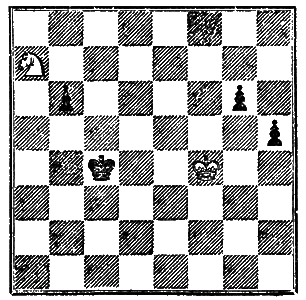 Всемирный следопыт 1929 № 04 i_042.png