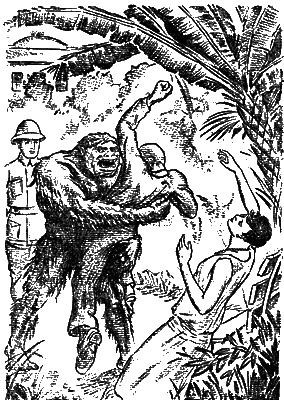 Всемирный следопыт 1929 № 06 i_043.png