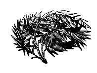 Цзацзуань. Изречения китайских писателей IX–XIX вв. i_002.png