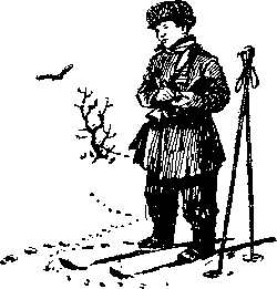 Снежная книга Snejn042_.png