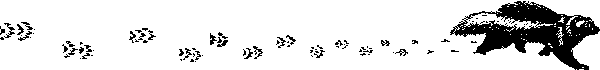 Снежная книга Snejn021_.png