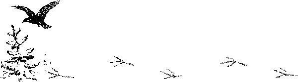 Снежная книга Snejn032_.png