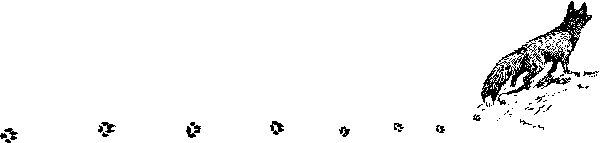 Снежная книга Snejn041_.png