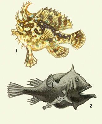 Большая Советская Энциклопедия (РЫ) i010-001-258245574.jpg