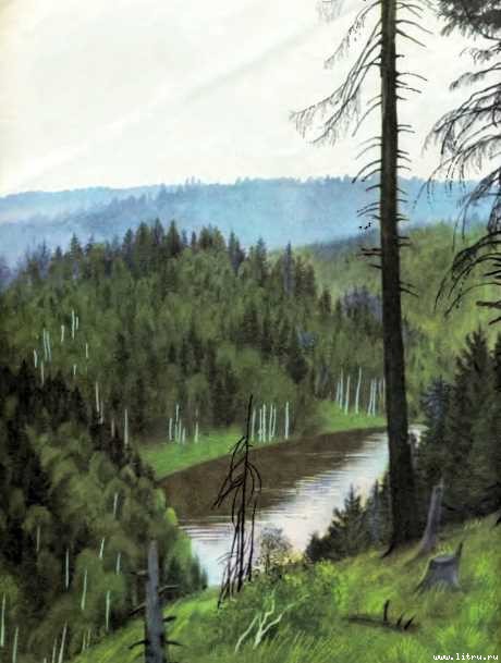 Маша и медведь i_013.jpg