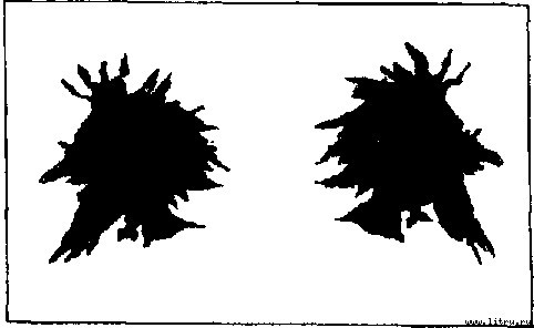 Академия пана Кляксы image13.jpg
