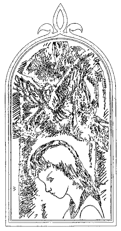 В садах чудес i_003.png
