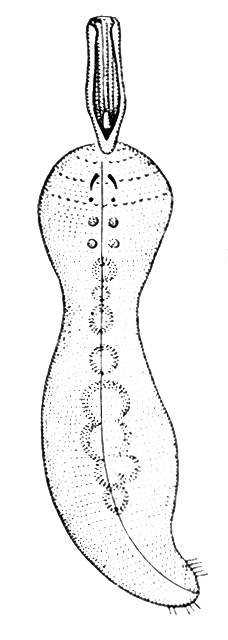 Большая Советская Энциклопедия (ЭХ) i009-001-239300279.jpg
