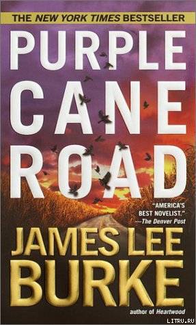 Purple Cane Road pic_1.jpg