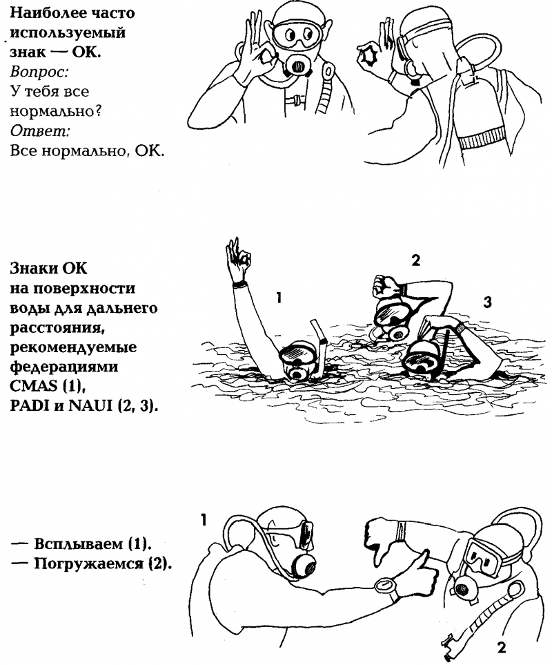 Акваланг и подводное  плавание img_28.png