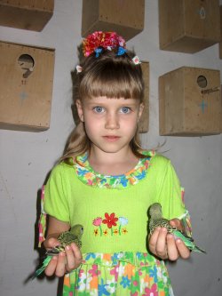Попугаи от А до Я i_036.jpg