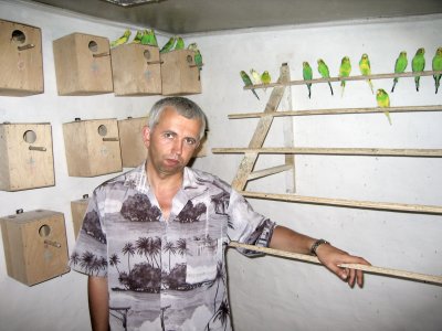 Попугаи от А до Я i_039.jpg