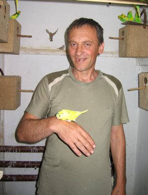 Попугаи от А до Я i_049.jpg