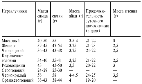 Попугаи от А до Я i_051.png