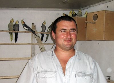 Попугаи от А до Я i_077.jpg