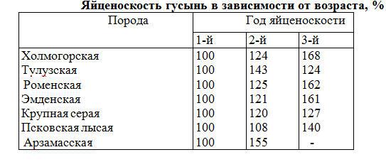 Разведение и откорм гусей i_001.jpg