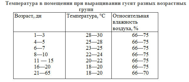 Разведение и откорм гусей i_013.jpg