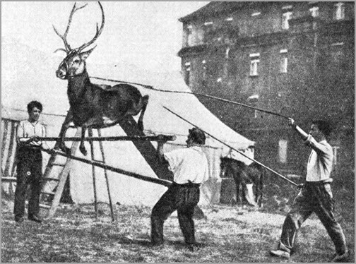 Всемирный следопыт, 1928 № 10 i_027.jpg