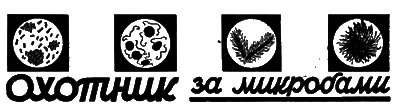 Всемирный следопыт, 1928 № 09 i_017.png