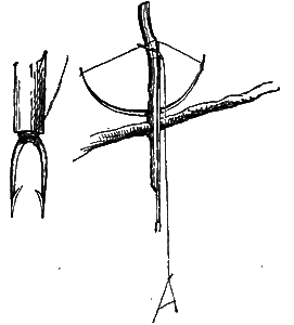 Всемирный следопыт, 1928 № 08 i_026.png