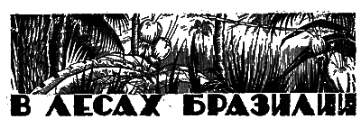 Всемирный следопыт, 1928 № 08 i_044.png