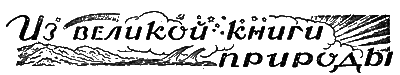Всемирный следопыт, 1928 № 08 i_048.png