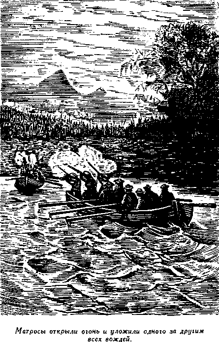 Дети капитана Гранта i_051.png