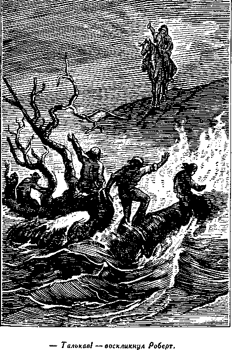 Дети капитана Гранта i_025.png