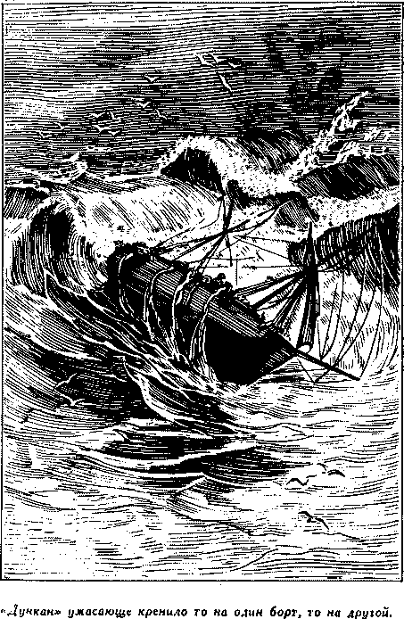 Дети капитана Гранта i_031.png