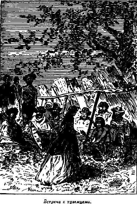 Дети капитана Гранта i_041.png
