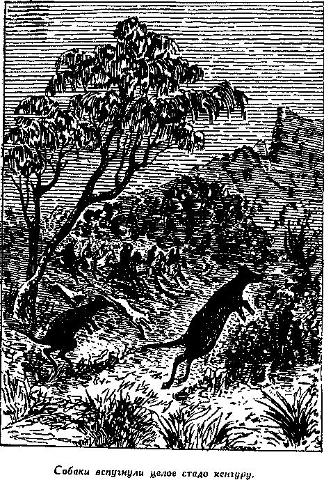 Дети капитана Гранта i_043.png