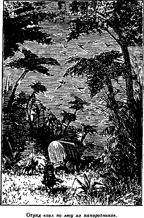 Дети капитана Гранта i_044.png