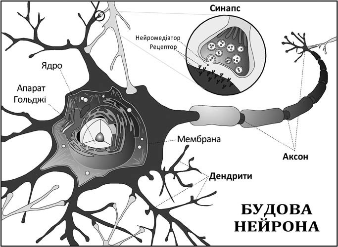Бот _6.jpg