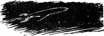 Тайна астероида 117-03 (илл.) i_002.jpg