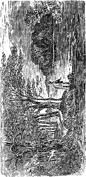 Крошка Доррит. Книга первая i_016.png