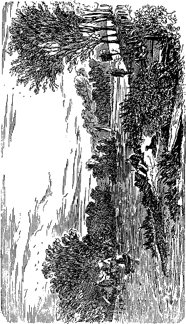 Крошка Доррит. Книга первая i_010.png