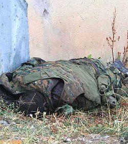 Пятидневная война. Россия принуждает к миру i_046.jpg