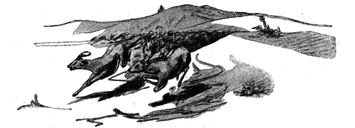 Всемирный следопыт, 1928 № 02 i_014.png