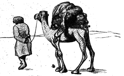 Всемирный следопыт, 1928 № 02 i_016.png