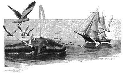 Всемирный следопыт, 1928 № 06 i_037.png