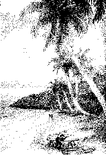 Marauder pic_10.png
